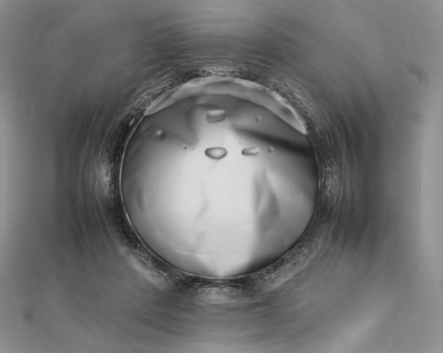 X0000112490408200908311436