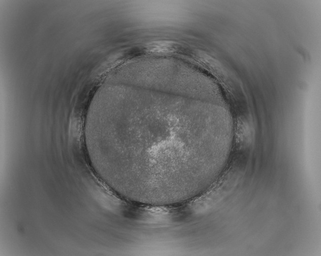 X0000112490409200908311436