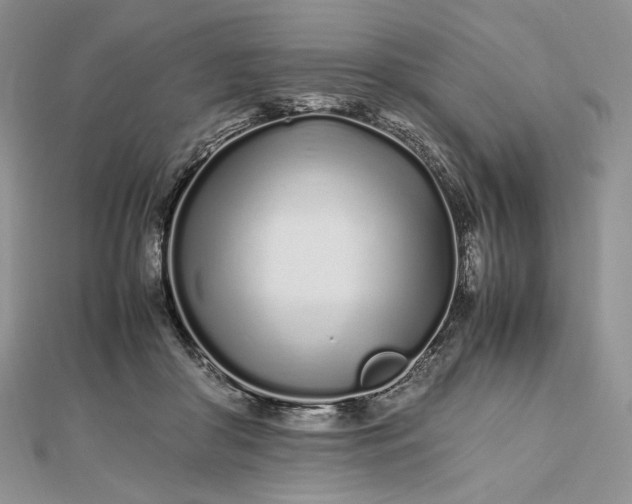 X0000112490410200908311436