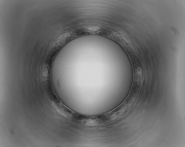 X0000112490412200908311436