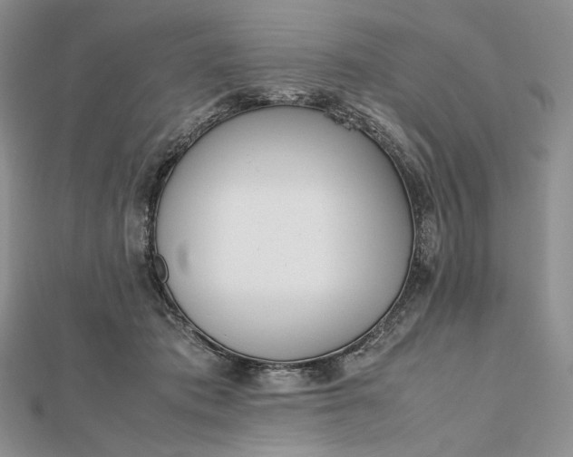 X0000112490413200908311436