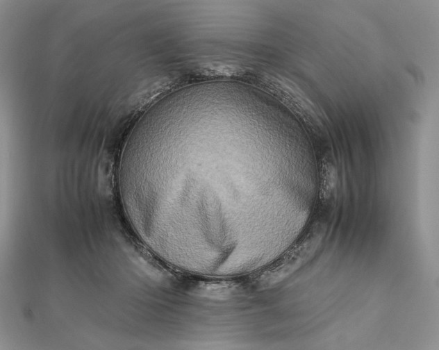 X0000112490414200908311436