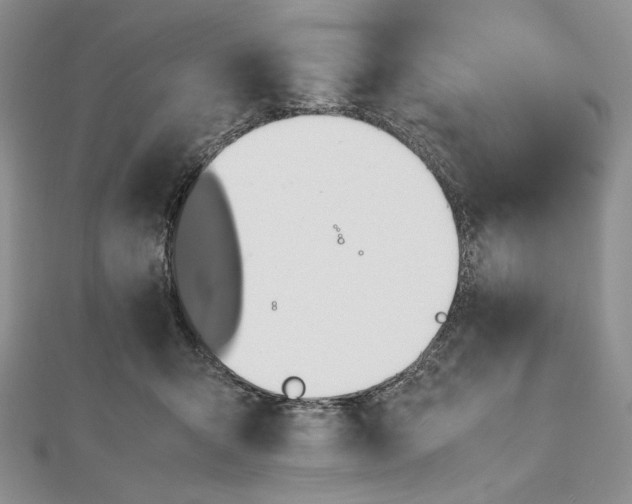 X0000112490415200908311436