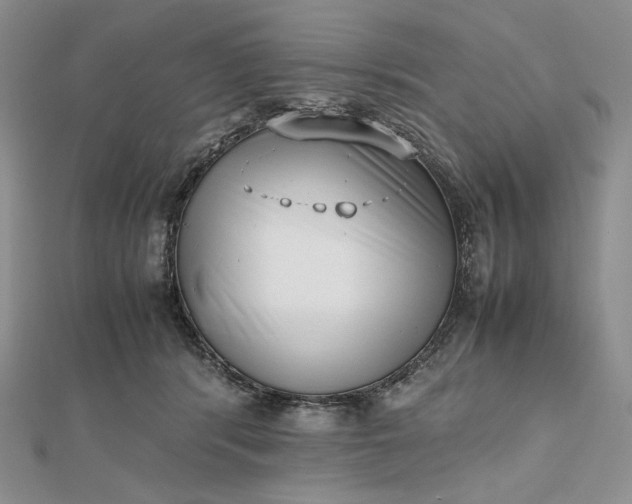 X0000112490416200908311436