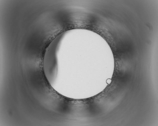 X0000112490419200908311436