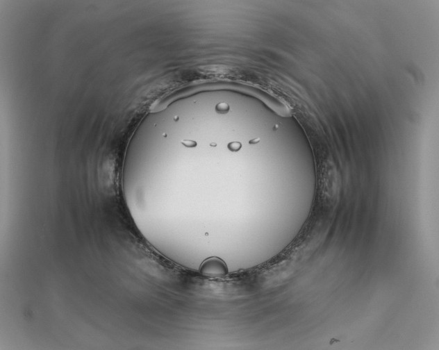 X0000112490420200908311436