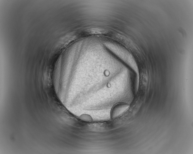 X0000112490422200908311436