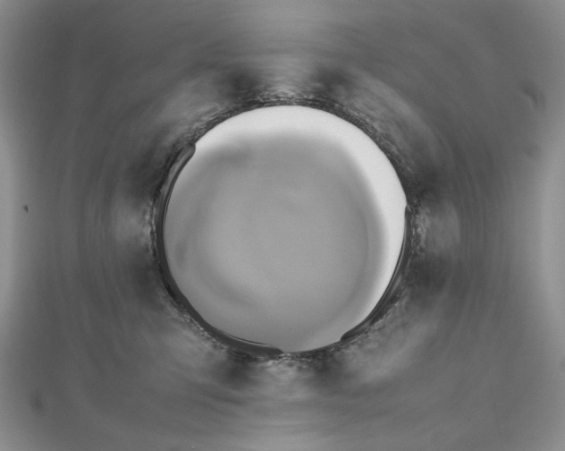 X0000112490423200908311436