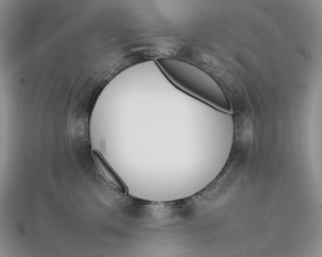 X0000112490425200908311436