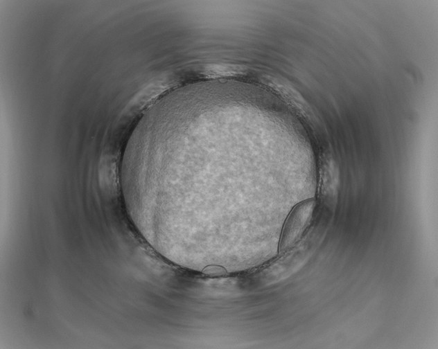 X0000112490426200908311436