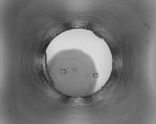 X0000112490427200908311436