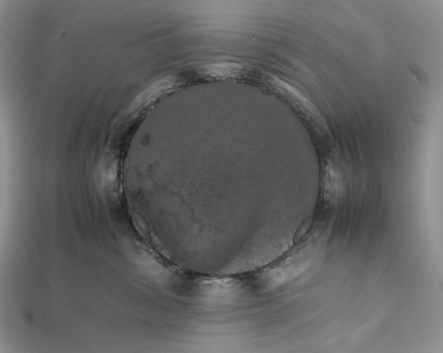 X0000112490428200908311436