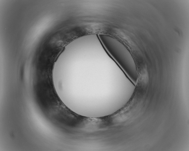 X0000112490429200908311436