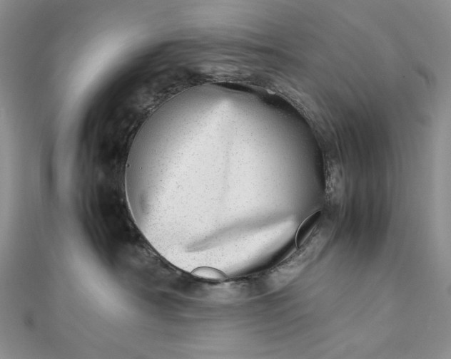 X0000112490430200908311436