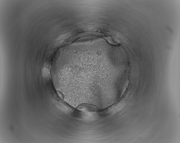 X0000112490432200908311436