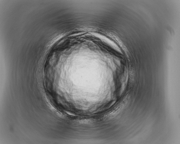 X0000112490433200908311435