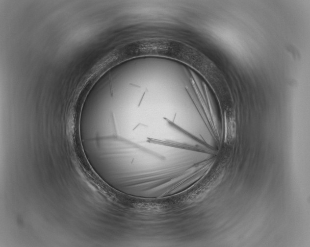 X0000112490435200908311435