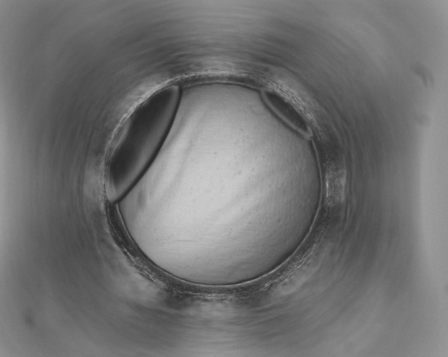 X0000112490436200908311435