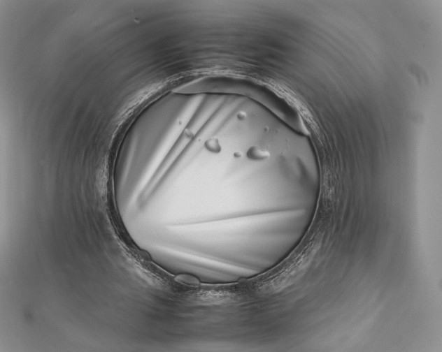 X0000112490437200908311435