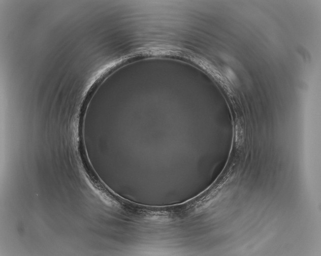 X0000112490438200908311435