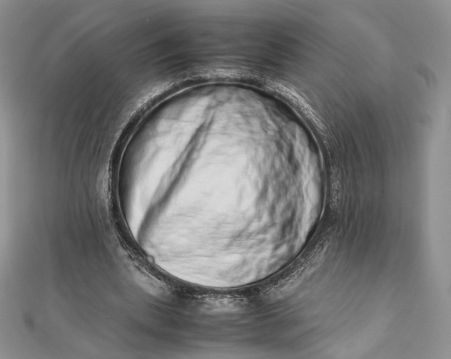 X0000112490439200908311435