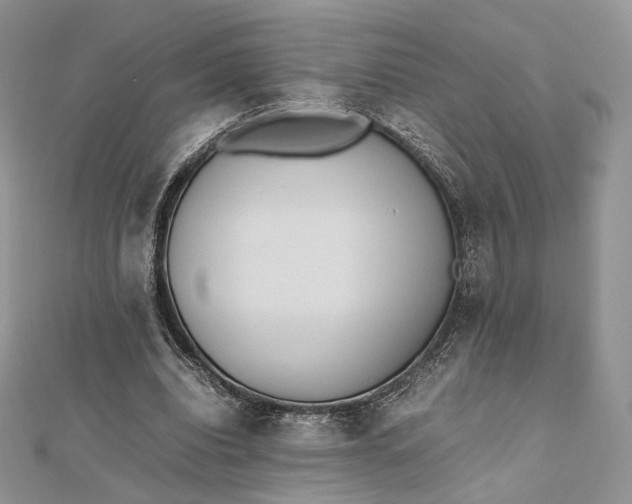 X0000112490440200908311435