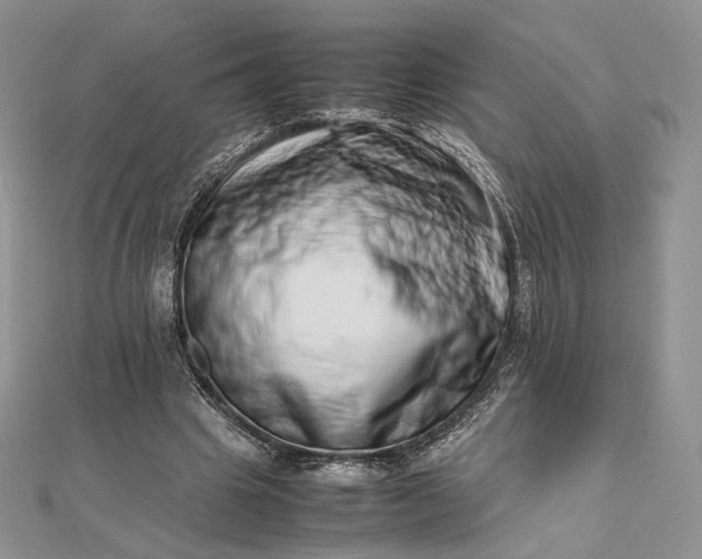 X0000112490441200908311435