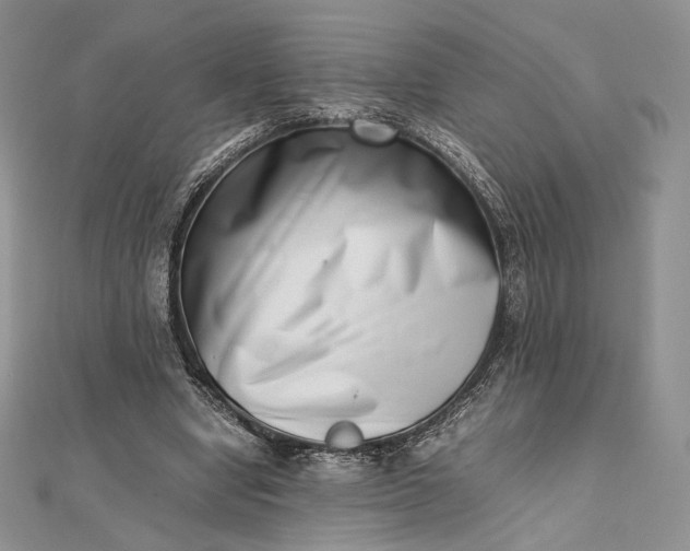 X0000112490442200908311435