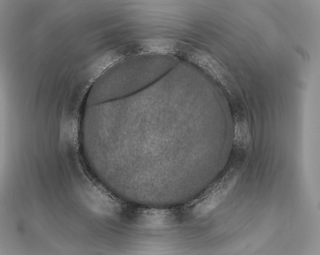 X0000112490444200908311435