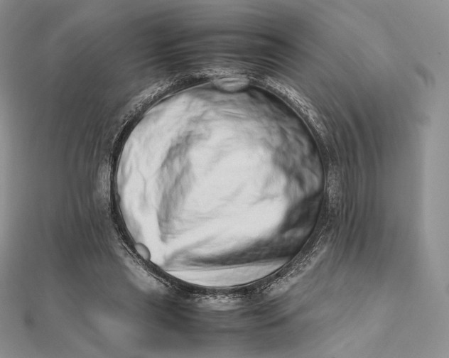 X0000112490445200908311435