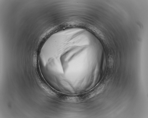 X0000112490446200908311435