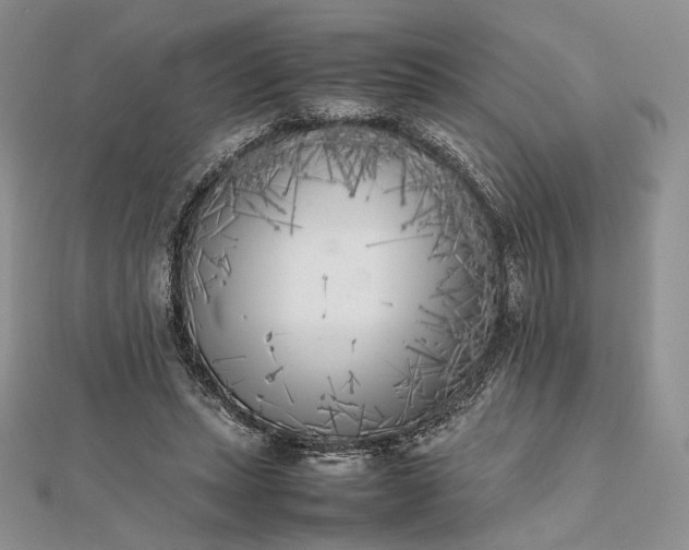 X0000112490447200908311435