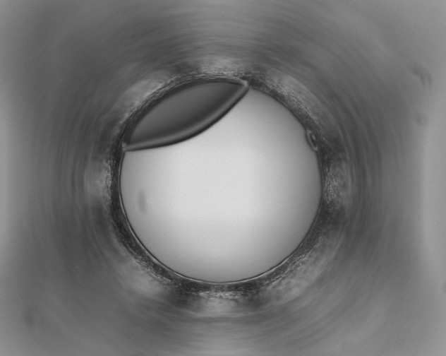 X0000112490448200908311435