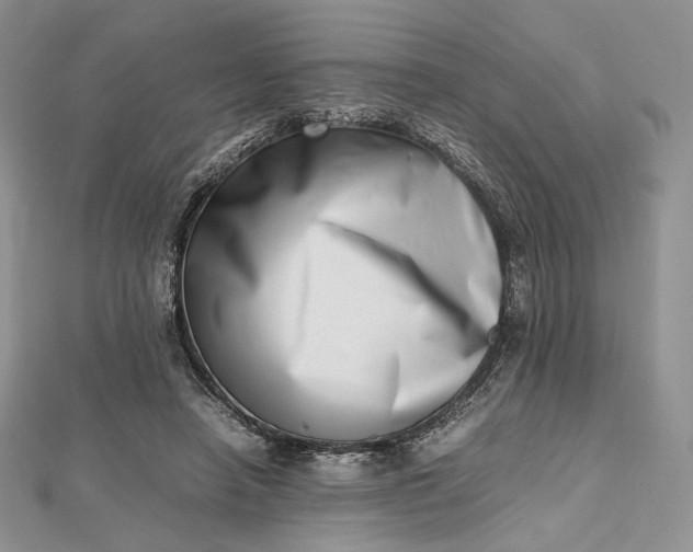 X0000112490450200908311435