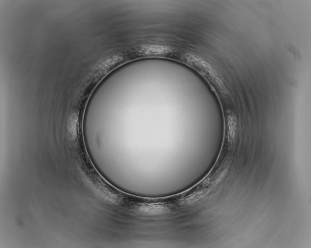 X0000112490451200908311435