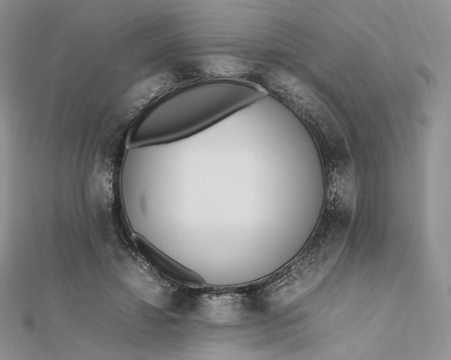 X0000112490452200908311435