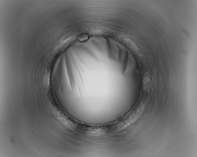 X0000112490454200908311435