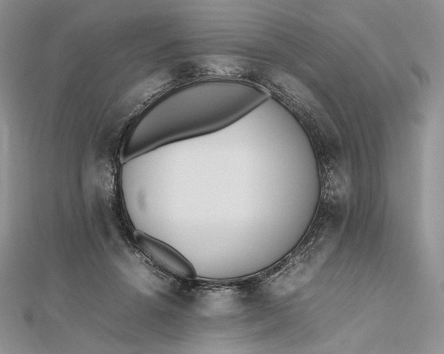 X0000112490456200908311435