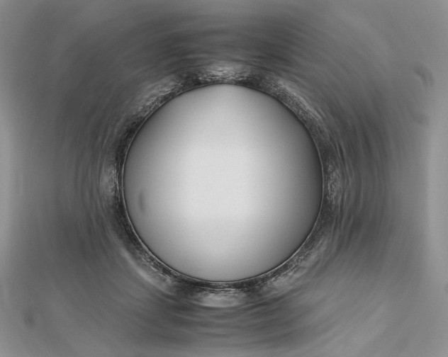 X0000112490459200908311435