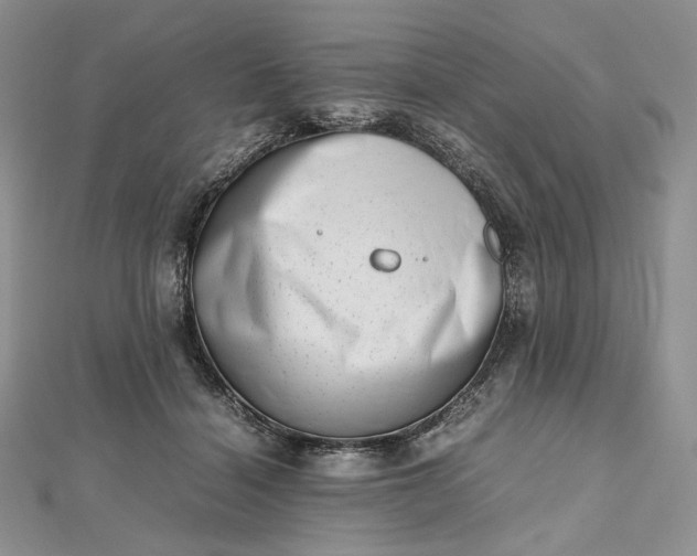 X0000112490460200908311435