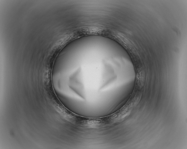 X0000112490462200908311435