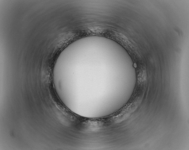 X0000112490464200908311435