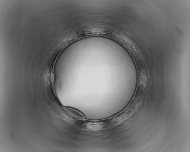 X0000112490465200908311435