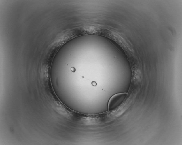 X0000112490466200908311435