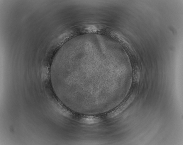 X0000112490467200908311435