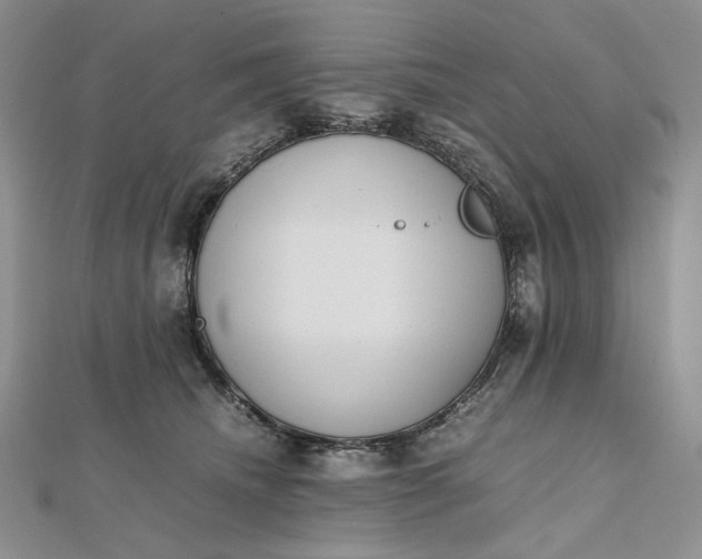 X0000112490468200908311435