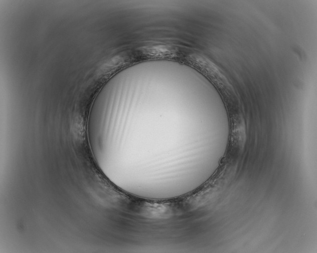 X0000112490469200908311435