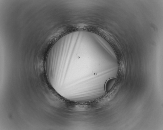 X0000112490470200908311435