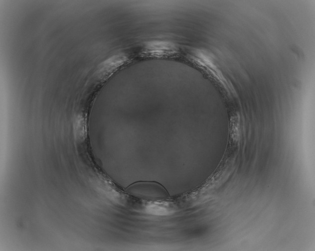 X0000112490471200908311435