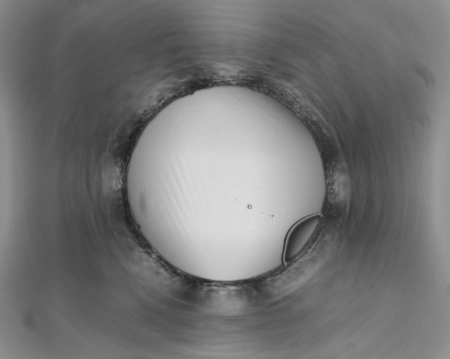 X0000112490472200908311435